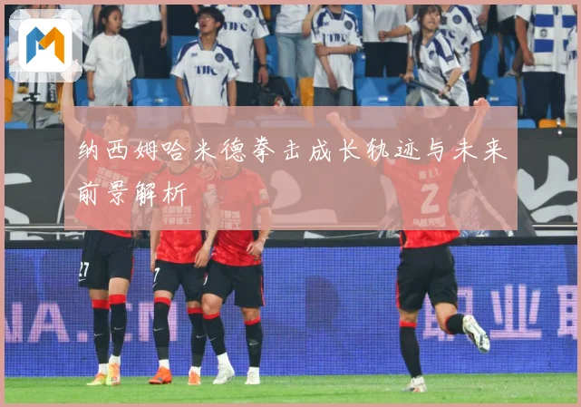 纳西姆哈米德拳击成长轨迹与未来前景解析