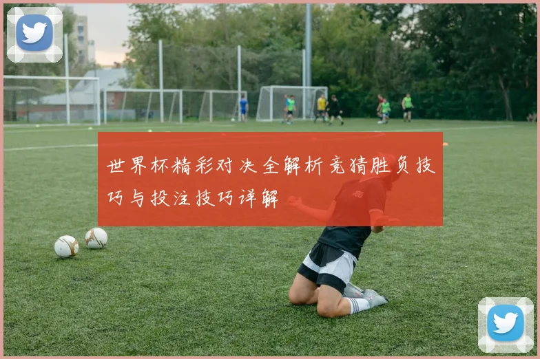 世界杯精彩对决全解析竞猜胜负技巧与投注技巧详解